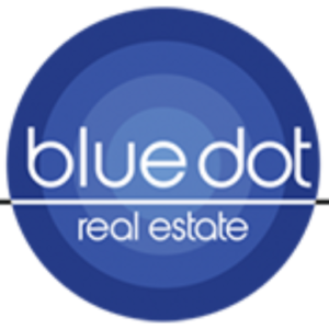 Blue Dot Real Estate - REO, HUD & BPO